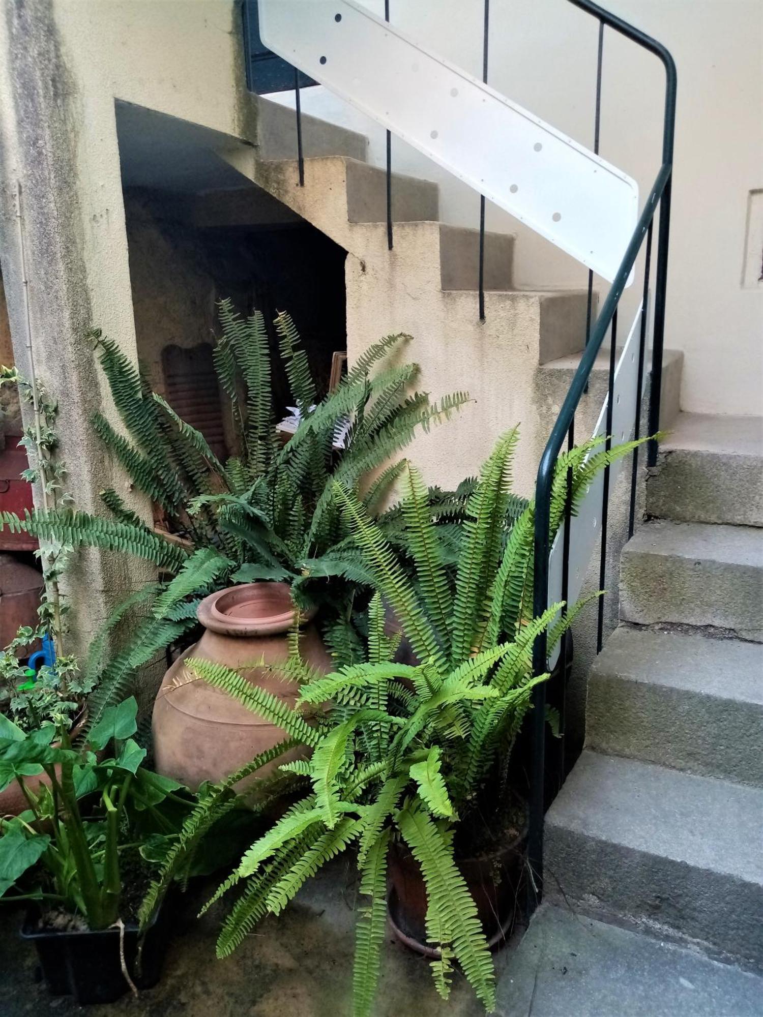 Apartamento Casa Da Judiaria Velha Ap Viseu Exterior foto