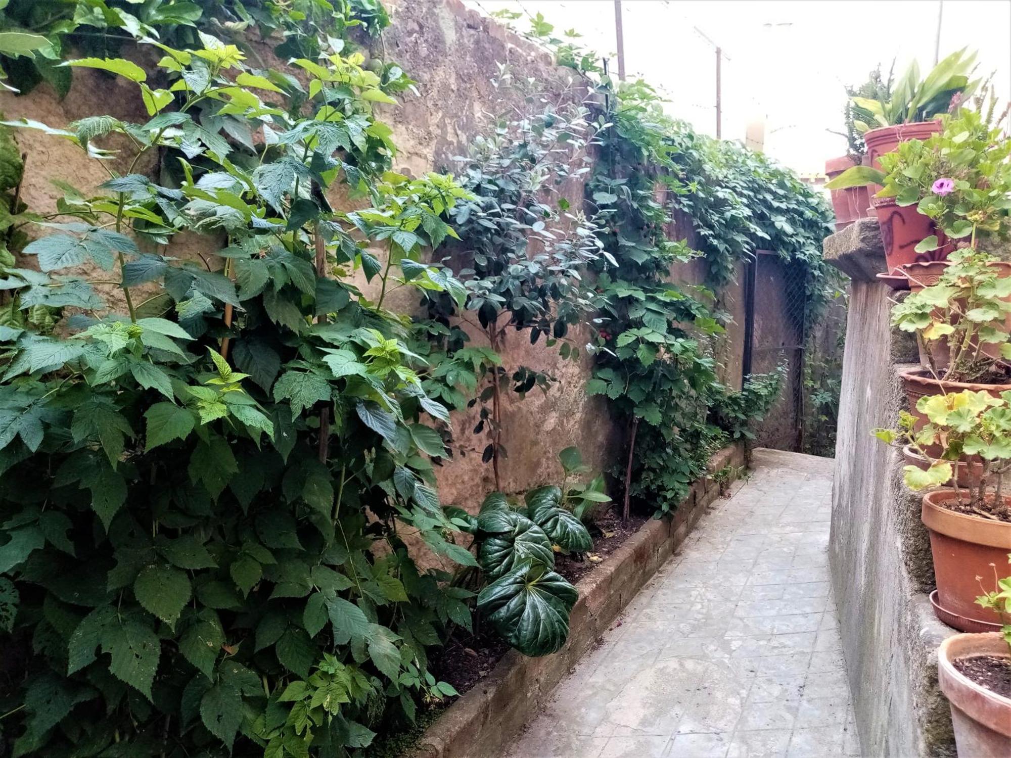 Apartamento Casa Da Judiaria Velha Ap Viseu Exterior foto